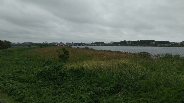 DSC_0361.JPG